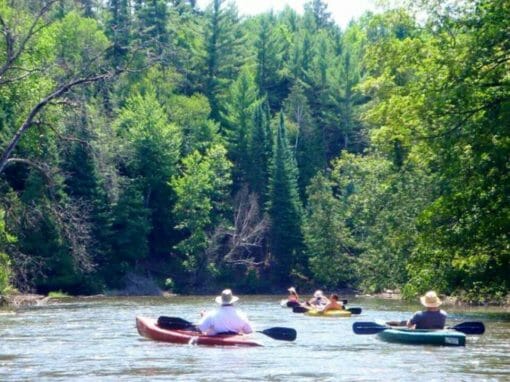 Paddling
