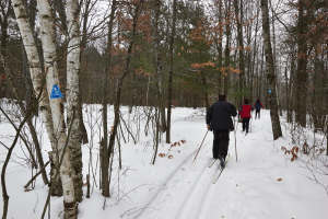 Cross-Country Skiing