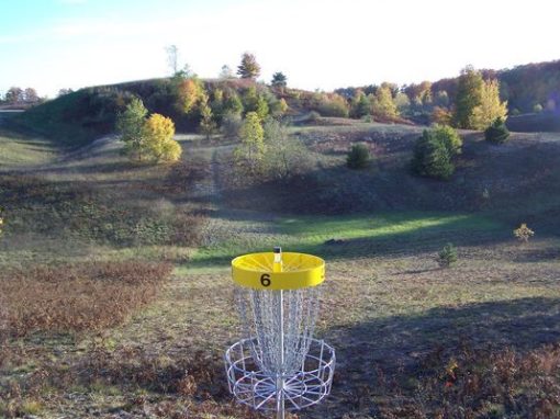 Disc Golf