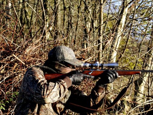 Hunting