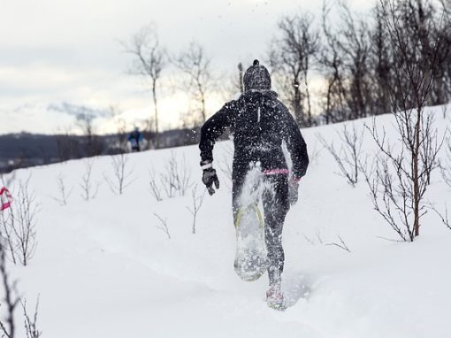 Snowshoeing